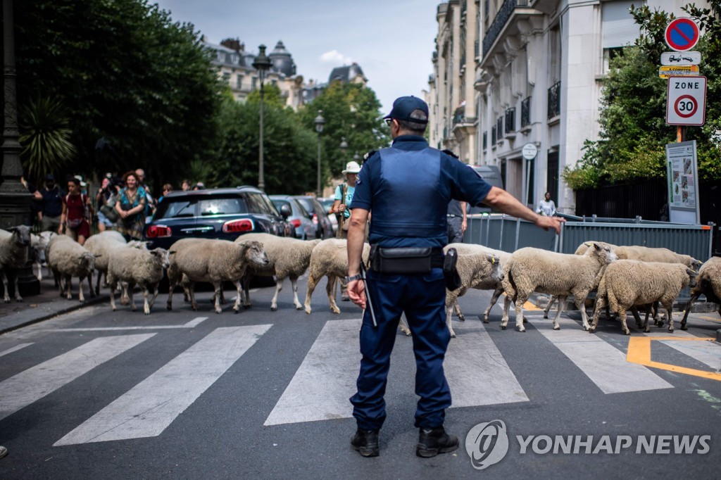 FRANCE-FARMING-AGRICULTURE-CITY-SHEEP