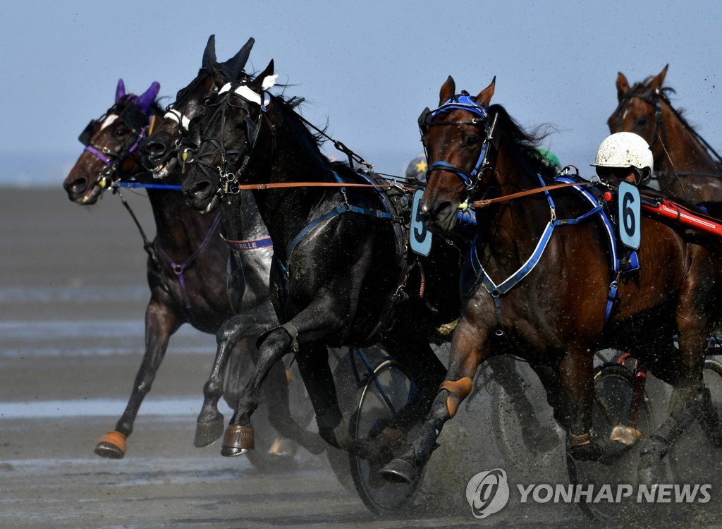 GERMANY-TRADITION-HORSE RACE-MUD-FEATURE