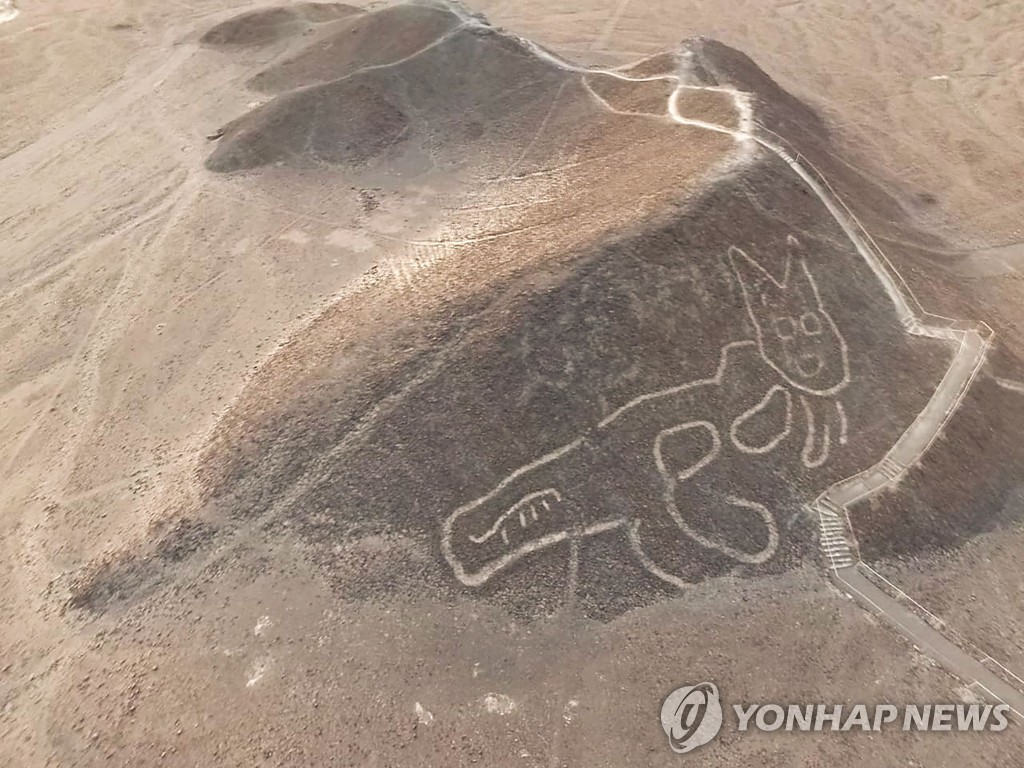 PERU-ARCHAEOLOGY-NASCA LINES-CAT