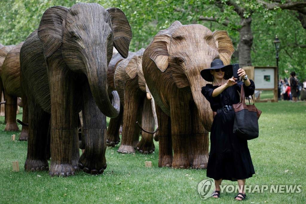 BRITAIN-ENVIRONMENT-ELEPHANT