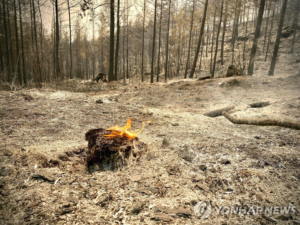 TURKEY-FIRE