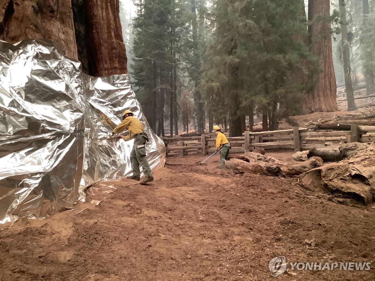 US-CLIMATE-FIRE-CALIFORNIA-SEQUOIA