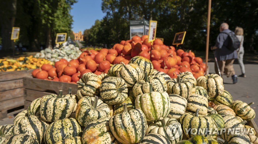 GERMANY PUMPKIN FESTIVAL