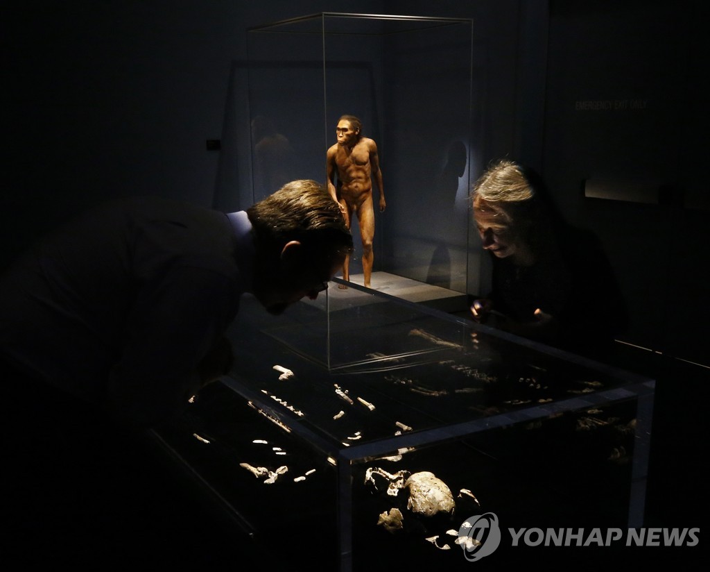 USA PEROT MUSEUM EXHIBIT ORIGINS FOSSILS FROM THE CRADLE OF HUMA