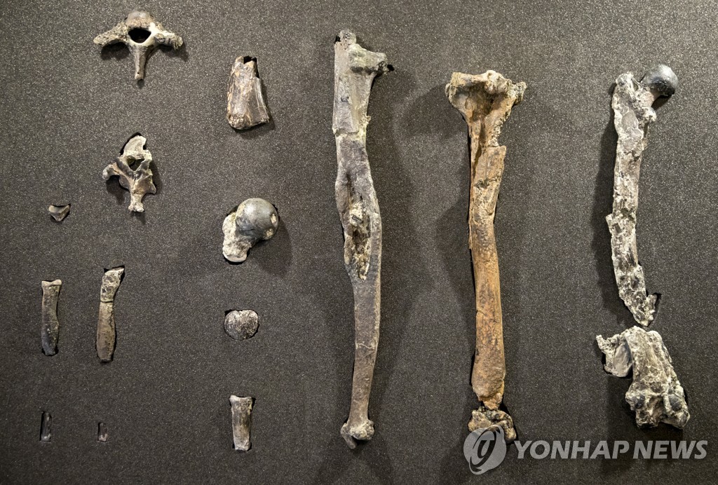 GERMANY ARCHEOLOGY
