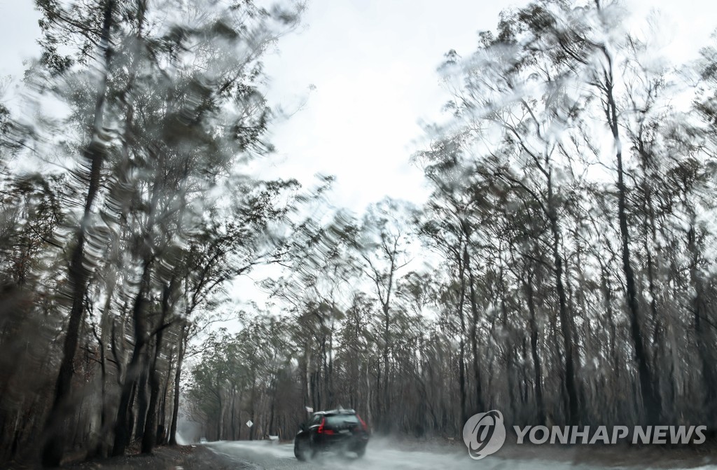 호주 NSW주 산불 지역에 비가 내리는 장면