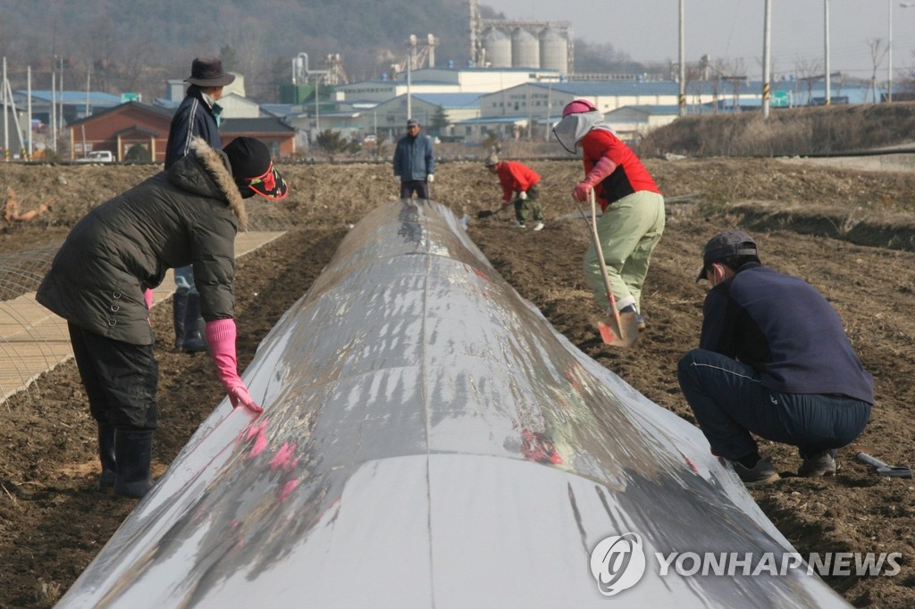 강원도 철원군 들녘별 농업공동체
