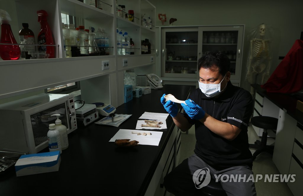 인간·동물 뼈 도감 발간 주역 김영삼 검시관