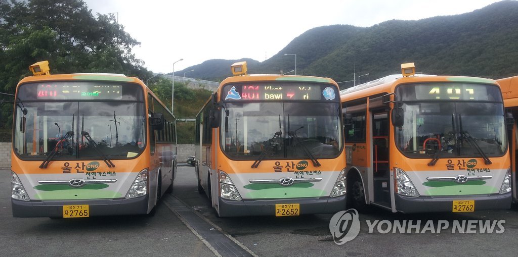 울산 시내버스