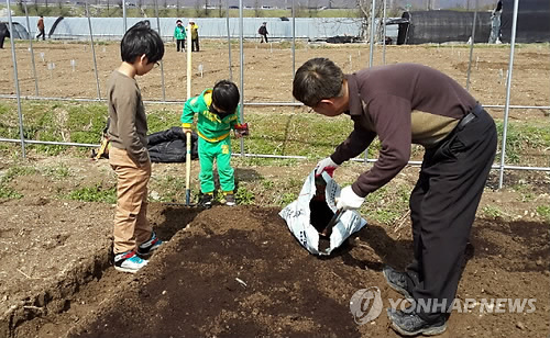 2015년 4월 성남시가 분양한 무료 도시텃밭을 찾은 가족들