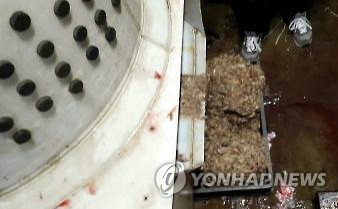 길고양이 도축장소