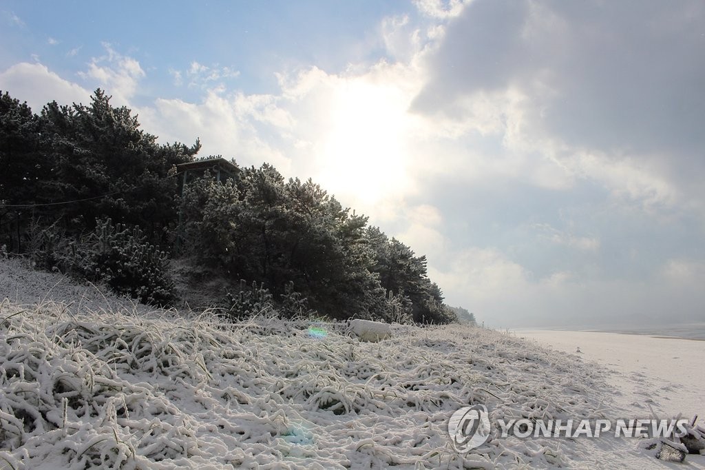 어제 내린 눈으로 충남 태안해안국립공원 삼봉해변에 눈이 쌓여 있다.