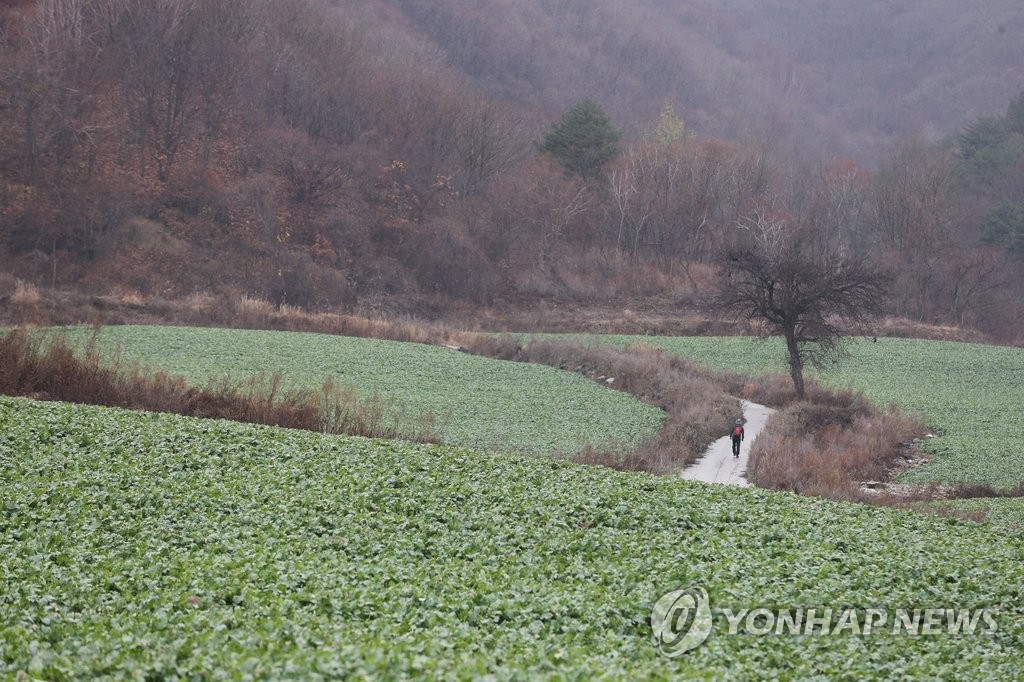 분단의 아픔 간직한 DMZ 펀치볼 둘레길
