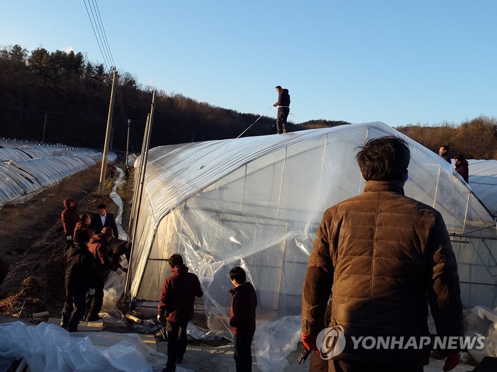 "강풍 피해 복구"