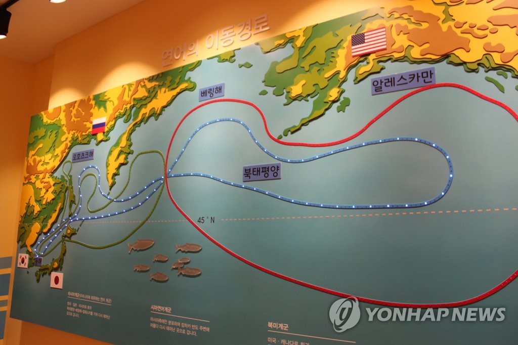 '연어 보금자리' 태화강 생태관