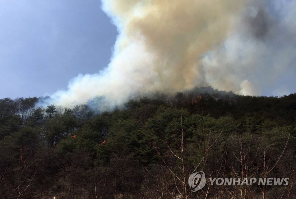 산 정상으로 번지는 양구 산불