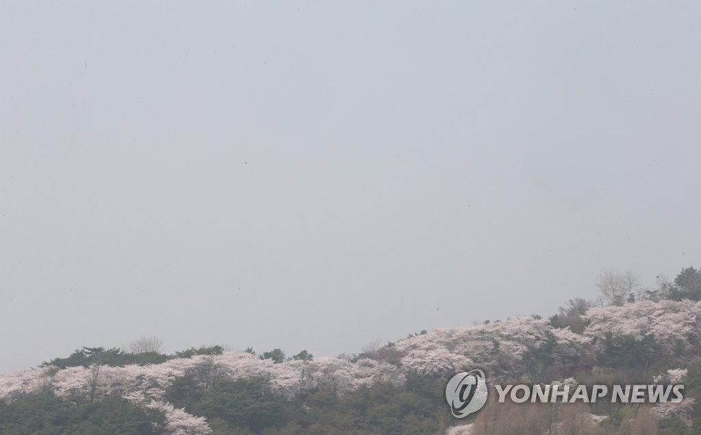 <날씨> '미세먼지 주의보'…수도권, 새벽에 빗방울(14일) - 1
