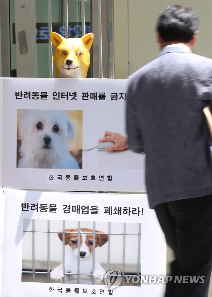 반려동물 인터넷 판매금지!