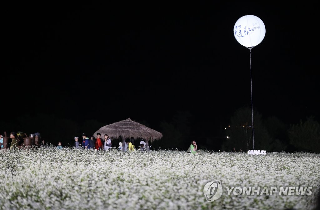 달빛과 어우러진 새하얀 메밀꽃