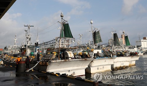 오징어 성어기인데 썰렁한 강릉 주문진항(자료사진)