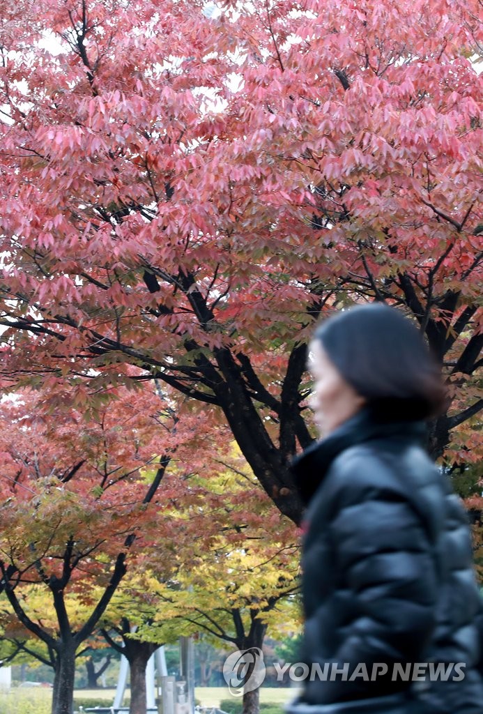 추위와 함께 10월의 마지막 날