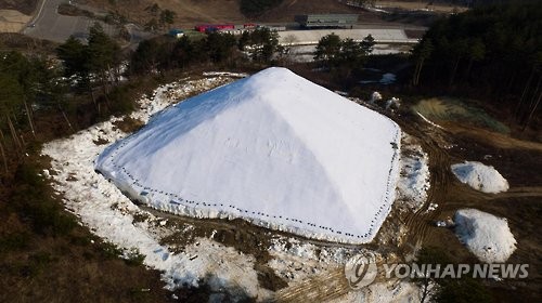 평창조직위, '저장 눈'으로 스노보드 코스 조성