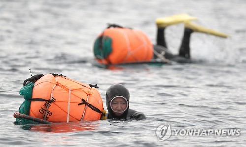 작업하는 해녀들