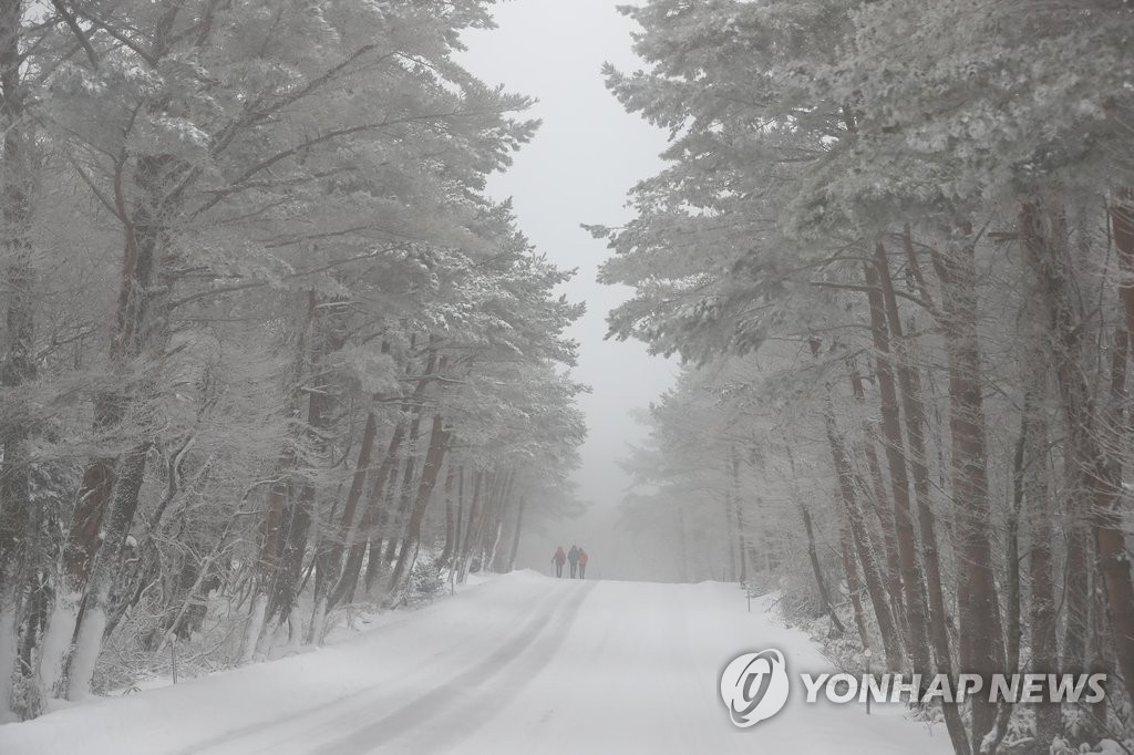 폭설 내린 한라산