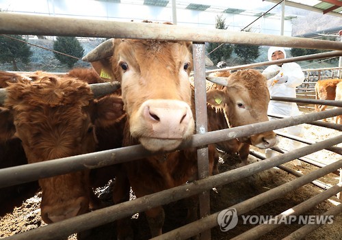 "구제역을 막아라"