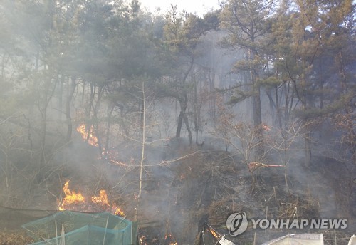 대구 노곡동에 산불