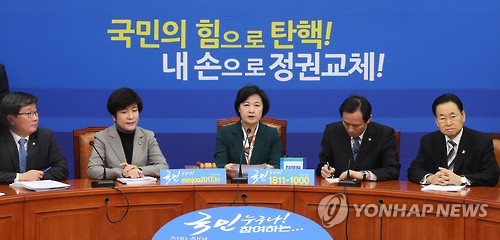 발언하는 추미애 대표