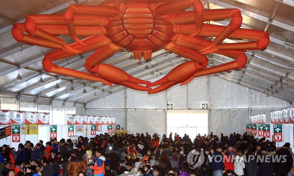 붐비는 속초 붉은대게 2017년 축제장