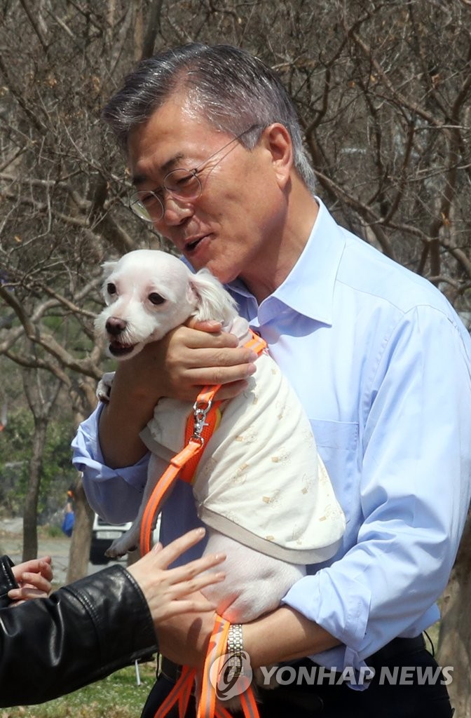 반려동물과 문재인