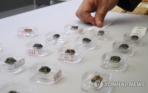 공개된 증도가자