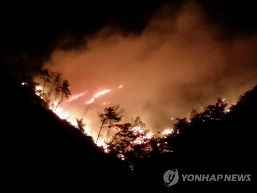 바람 불자 되살아난 강릉 산불