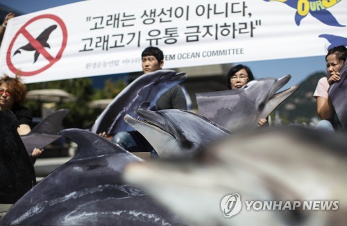 '고래고기 유통 금지 촉구 기자회견'