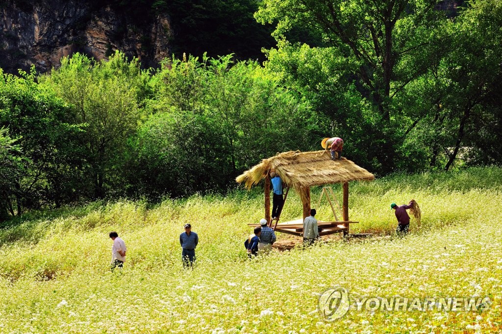 동강 제장마을과 메밀꽃