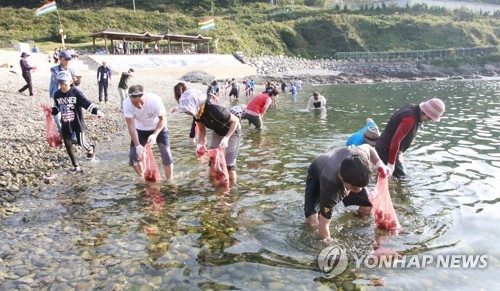 추자도에서 즐기는 바릇잡이