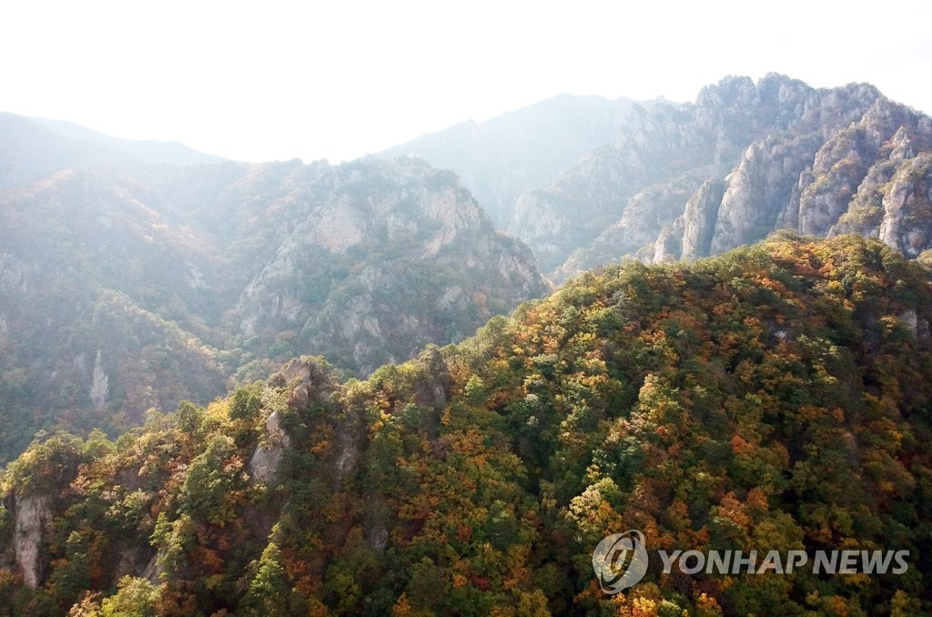양탄자 깔아놓은 설악산