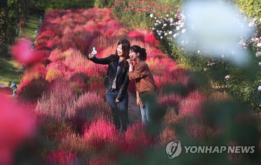 여심 유혹하는 코키아