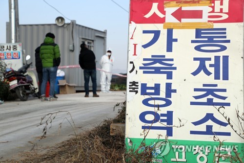 고창 AI 발병 농가 주변 차량 통제