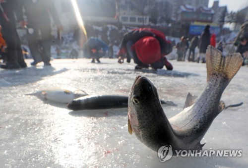 송어가 펄떡