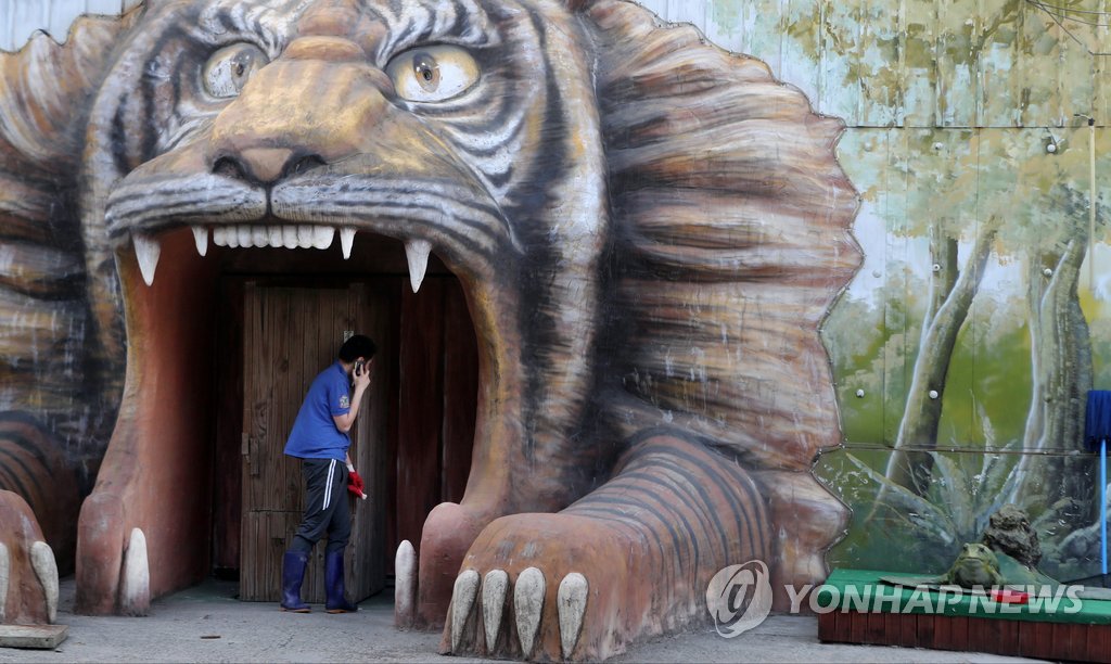 동물원 사육사 문 흑표범과 대치