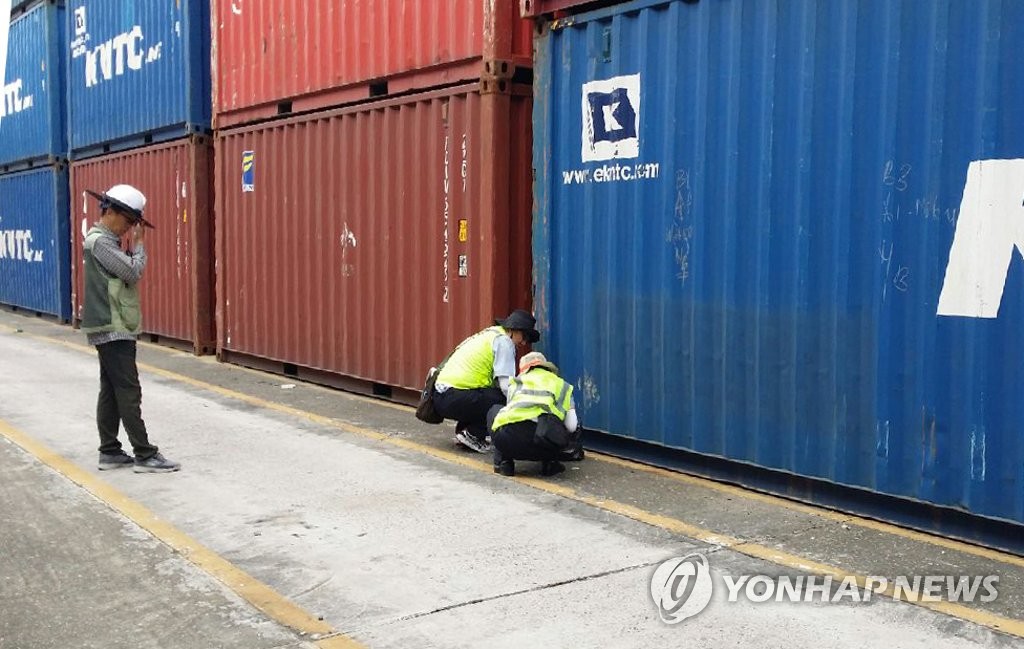 부산항에 또 붉은불개미 10마리 발견