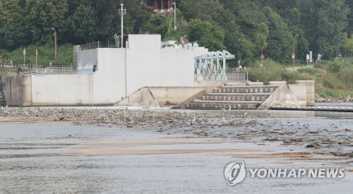 금강 세종보