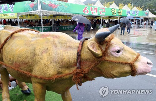 홍천 축제