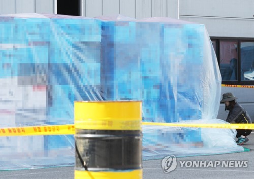 붉은불개미 여왕개미를 찾아라
