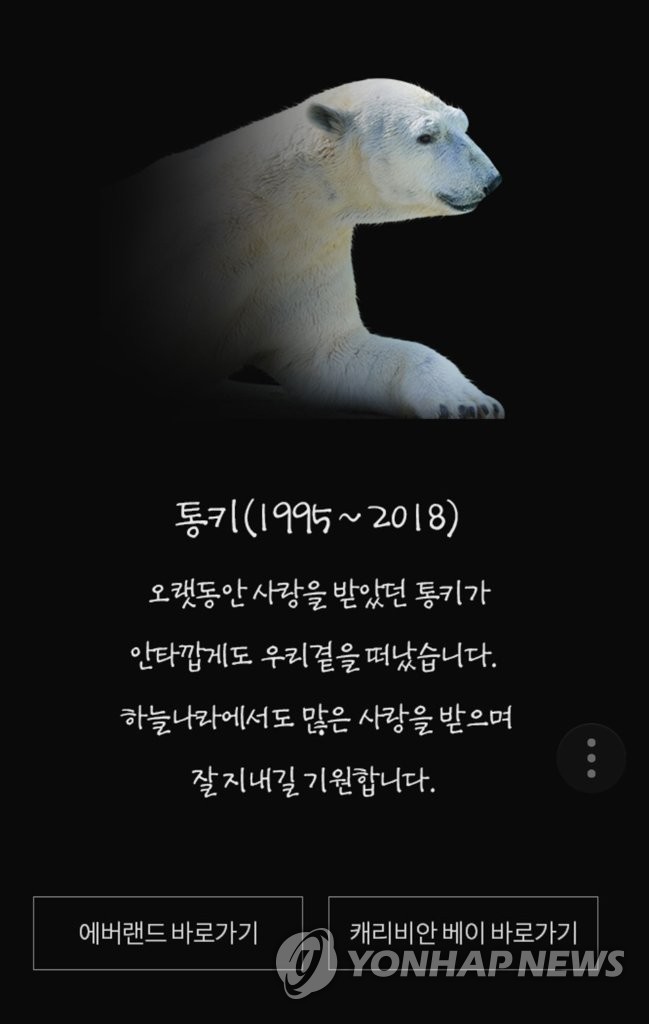 에버랜드 북극곰 통키 사망