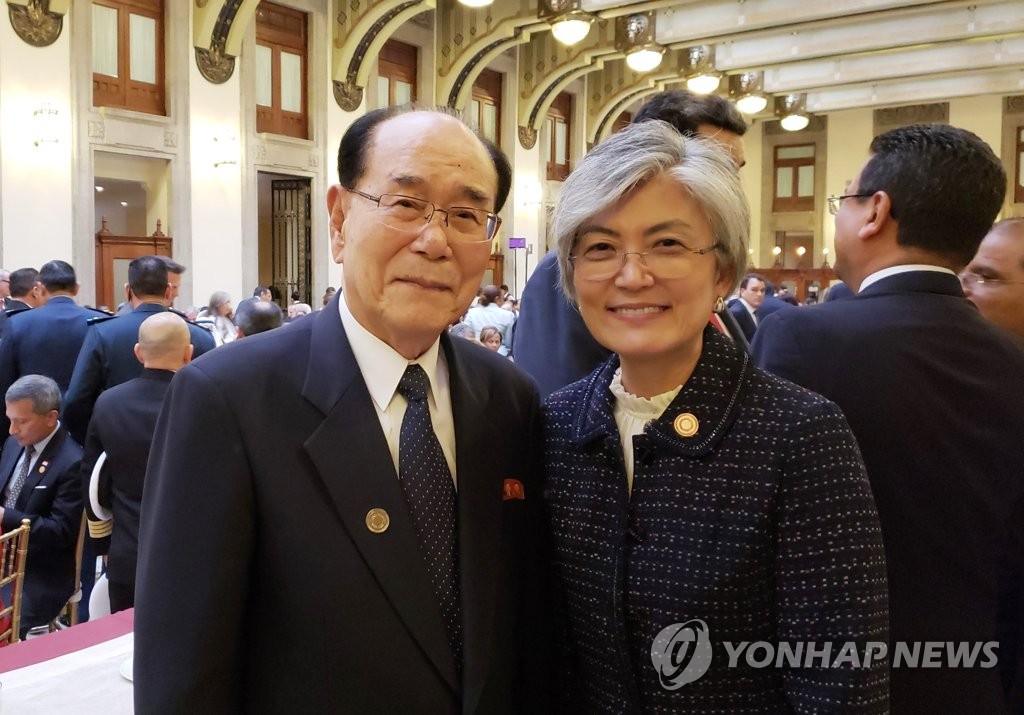 강경화 외교장관, 북 김영남과 환담