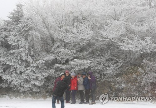 눈 내린 한라산 1100고지